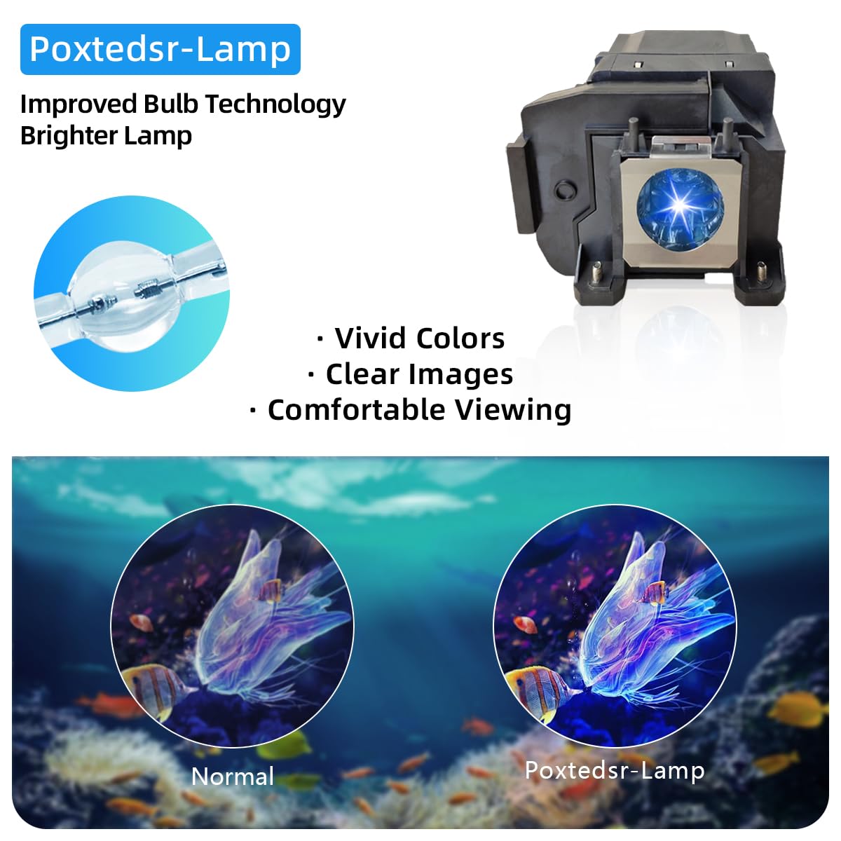 V13H010L85 Lampada di ricambio per proiettore compatibile con Epson EL PLP85, EH-TW7000, EH-TW7100, EH-TW6600W, EH-TW6600, EH-TW6700W, EH-TW6700, EH-TW6800 proiettori, con alloggiamento