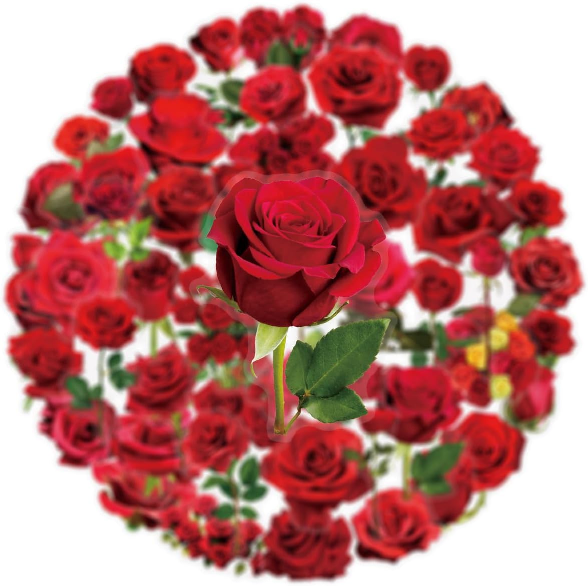 50PCS Red Rose Stickers Pack, Waterproof PET Floral Decals for Journal, Scrapbooking, Laptop, Phone, Water Bottle, Adult Card Making Letters, Suitcase, Cup, Guitar, DIY Craft Supplies & Decorations image 4