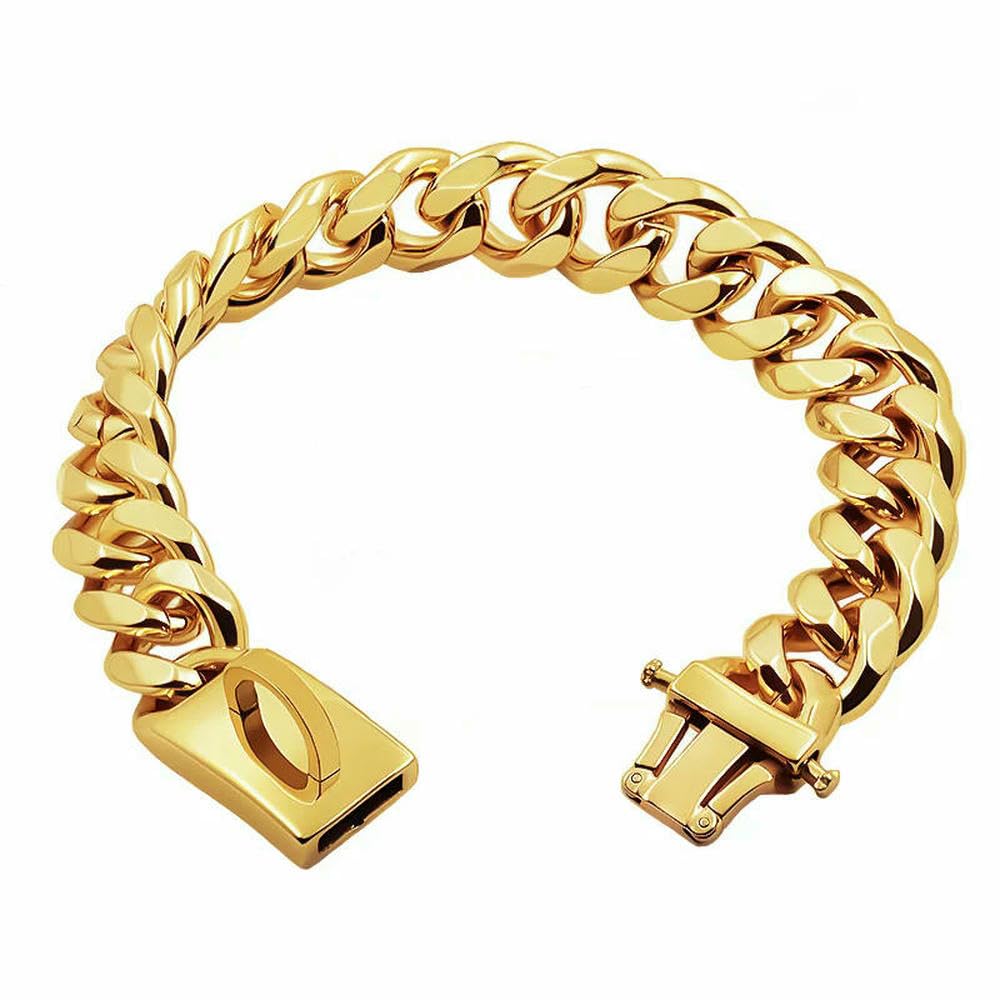 Collier pour chien en acier robuste 19 mm, parfait pour les balades en ville