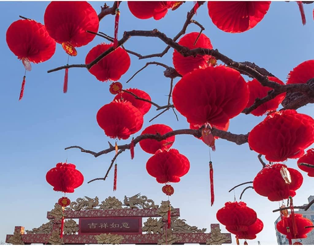 LIOONS 3 Strings 10 Pieces Chinese Lanterns, Red Lanterns Paper Lantern Lamp Chinese Spring Festival Mid-Autumn Festival Lantern