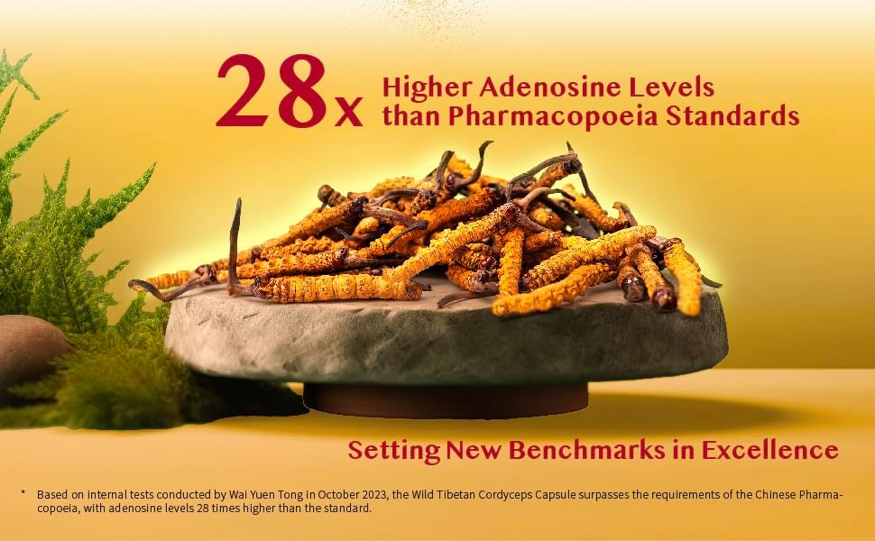 Miniatura 8 de Cápsulas Cordyceps tibetanas 100% salvajes  Molidas de Cordyceps crudos, energía, apoyo pulmonar e inmunológico, 24 cápsulas