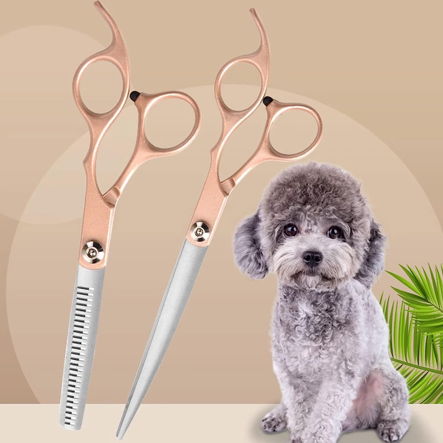 Ciseaux de toilettage For chiens, chats et autres animaux