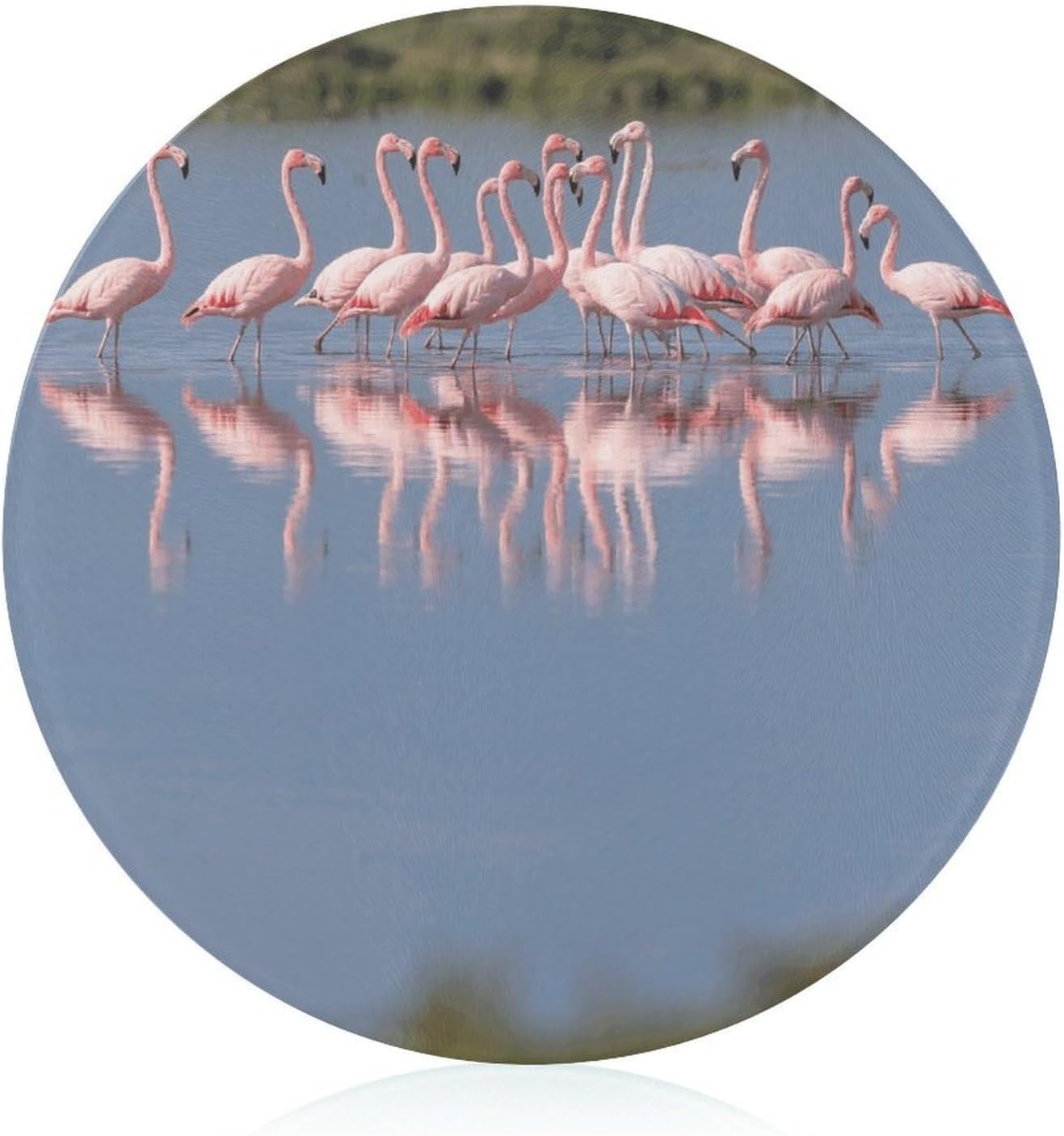 A Flock of Flamingos Tempered Glass Cutting Board Sturdy Chopping Block Personalized Large Butcher Block Lightweight Round Chopping Mat for Kitchen Non Slip