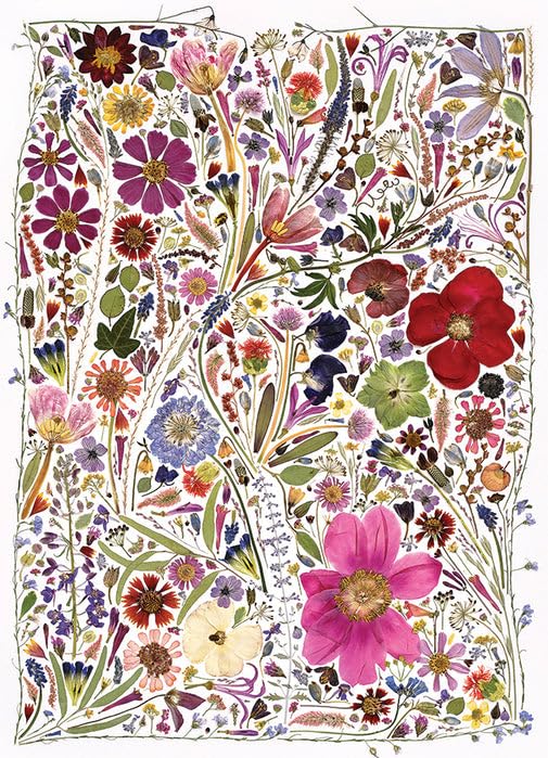 Cobble Hill 1000 Piece Puzzle - Flower Press: Spring - Sample Poster Included, Assorted Flower Colours, 676 x 489mm