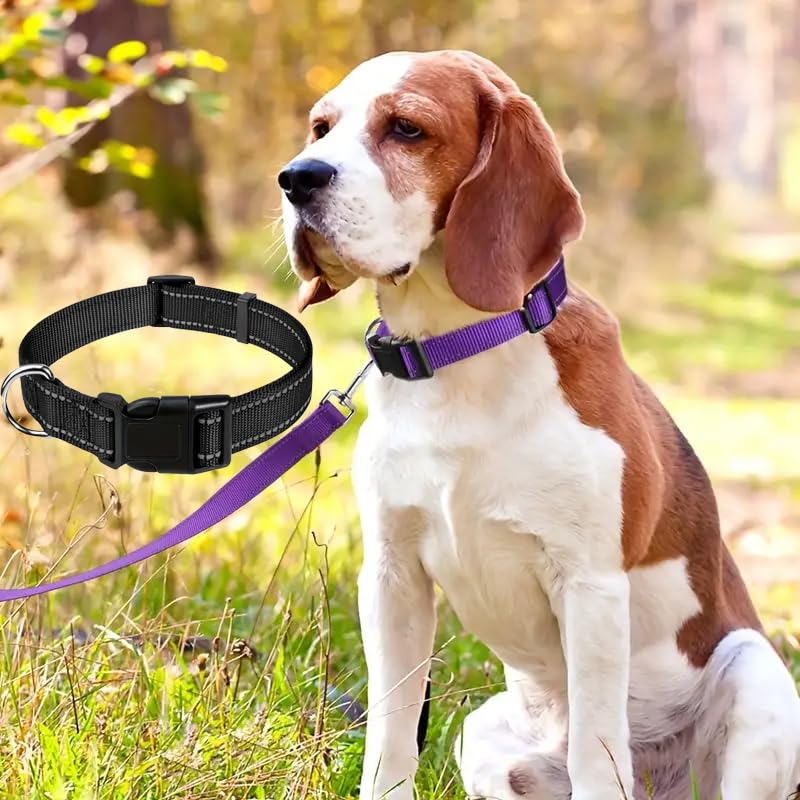 Collar reflectante de nailon para perro con broche rápido
