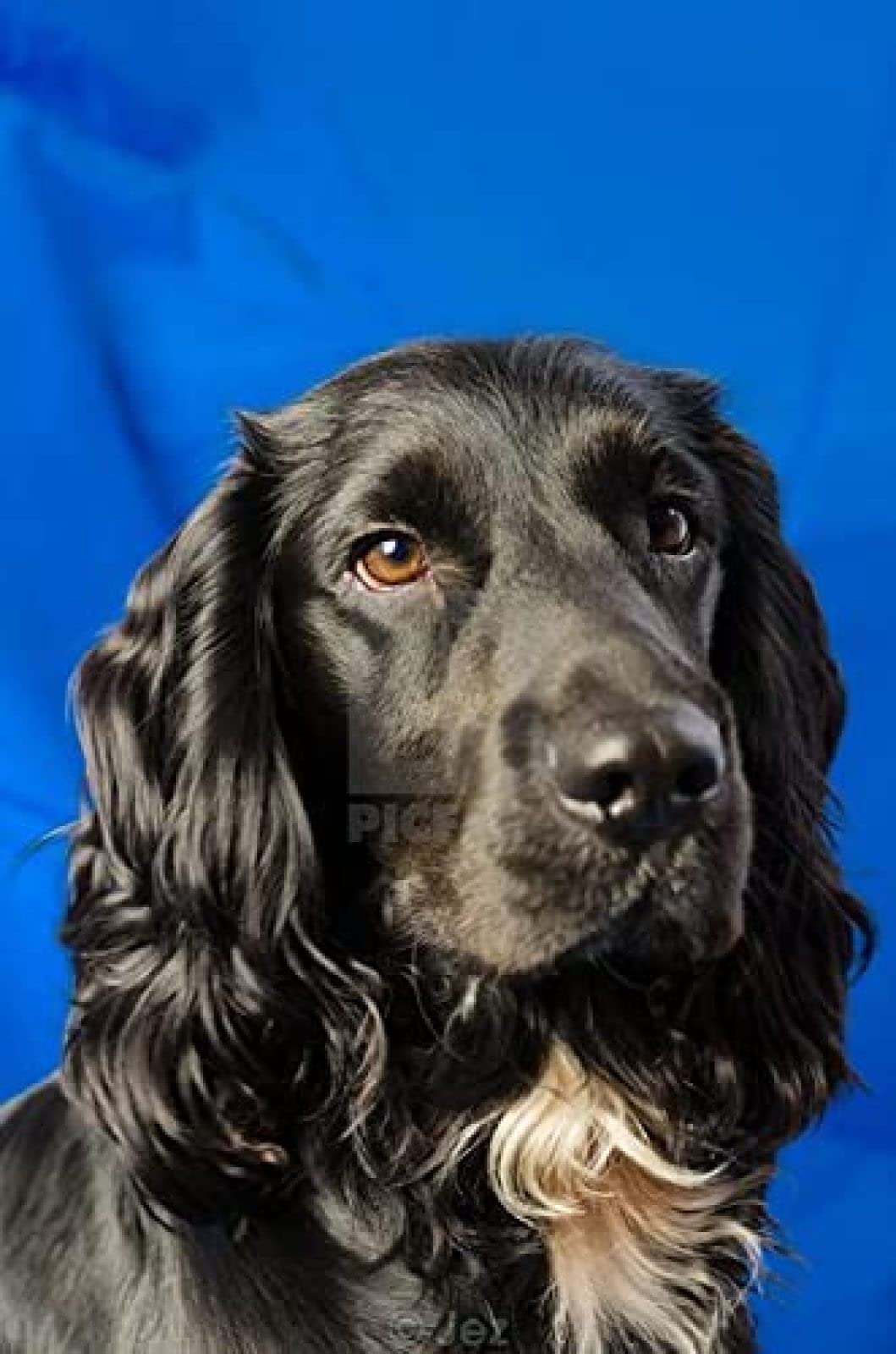 Wingkin Adultes Broderie Point De Croix Kits Coin De La Cuisine DIY Débutant Canevas Point De Croix Kit 11CT Toile Pré-imprimé Noel Décoration De La