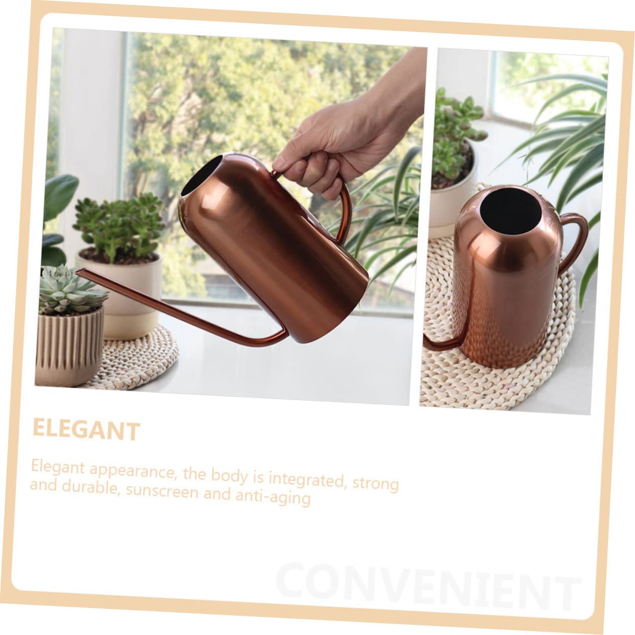 Kisangel Regadera Inoxidable Extensible Exterior Flores Suculentas Fácil De Limpiar