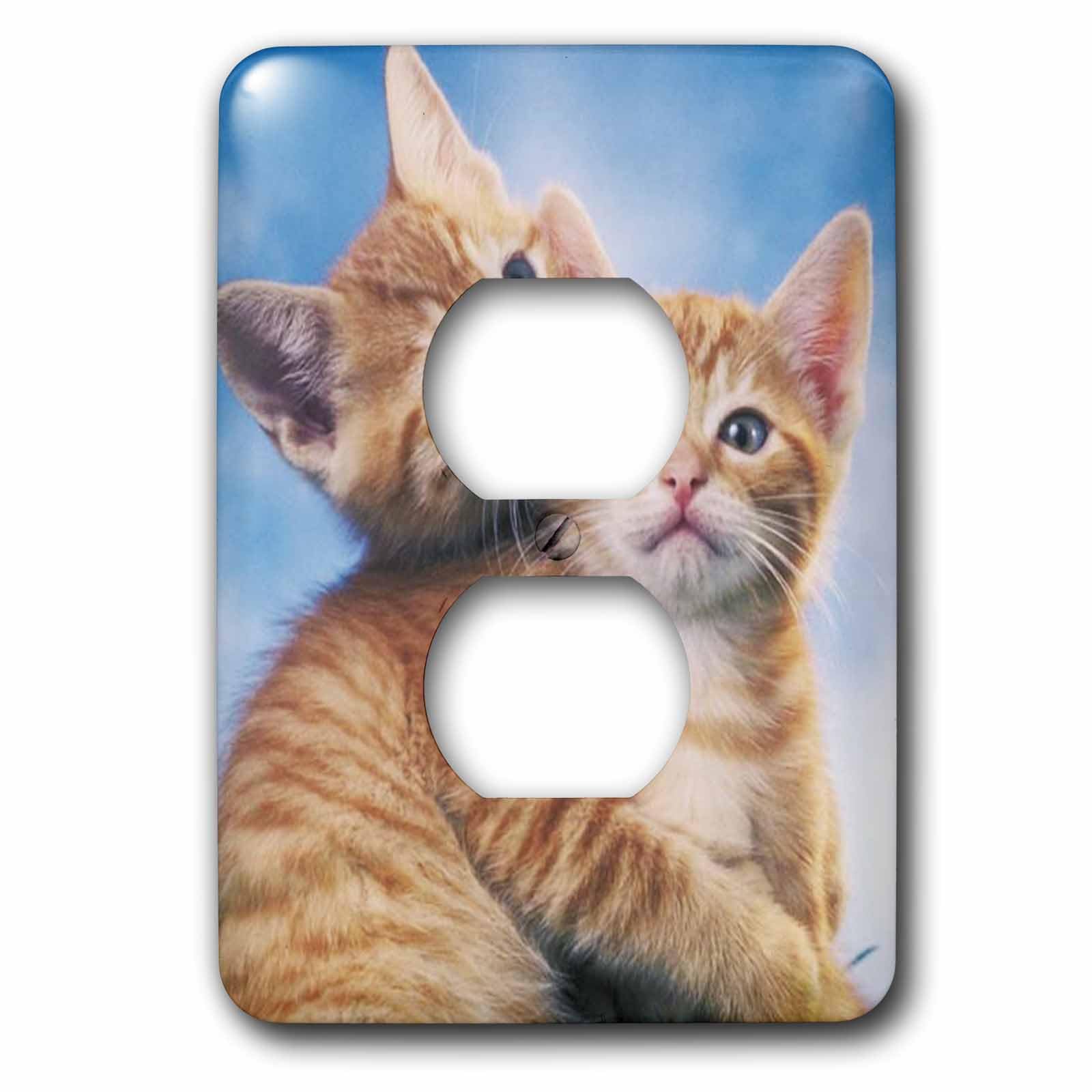 Cache prise de courant motif chaton Love pour un salon chaleureux