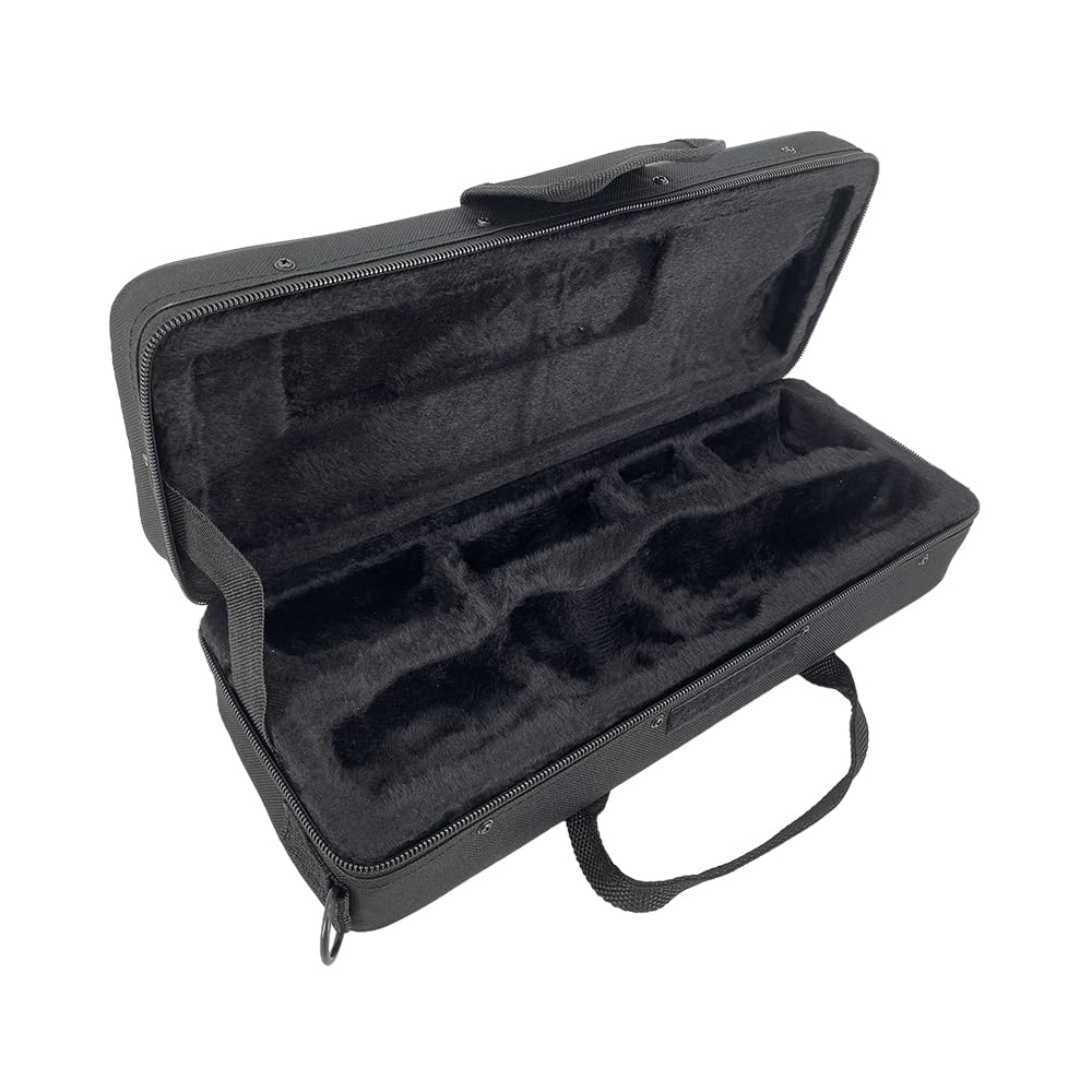 Étui Pour Clarinette 35 × 20 × 10 Lade Noir Rembourré En Mousse