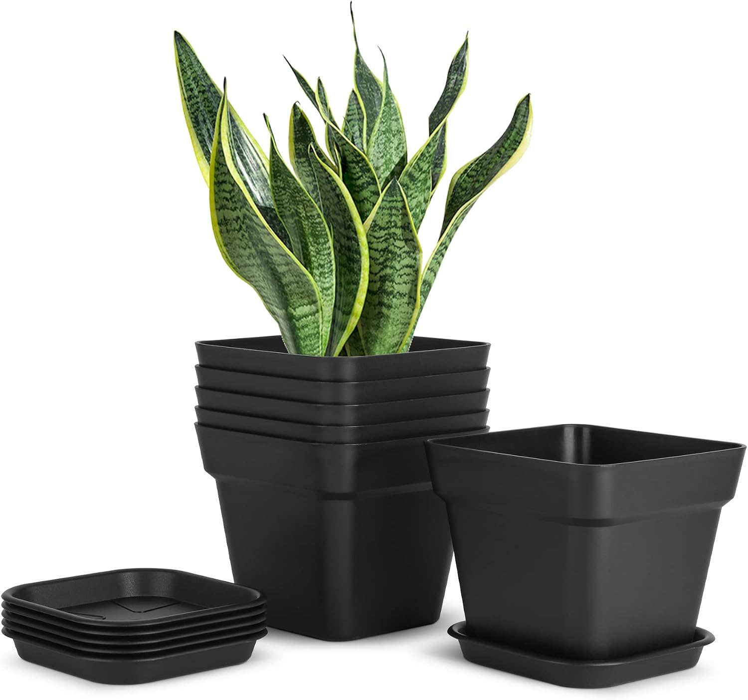 T4U Plastic Plant Pots for Indoor Plants - 6 Inch Square Planter Small Flower Pot with Drainage Tray Black, Outdoor Nursery Planting Pot for Snake Plant, African Violet, Aloe and House Plants, 6-Pack
