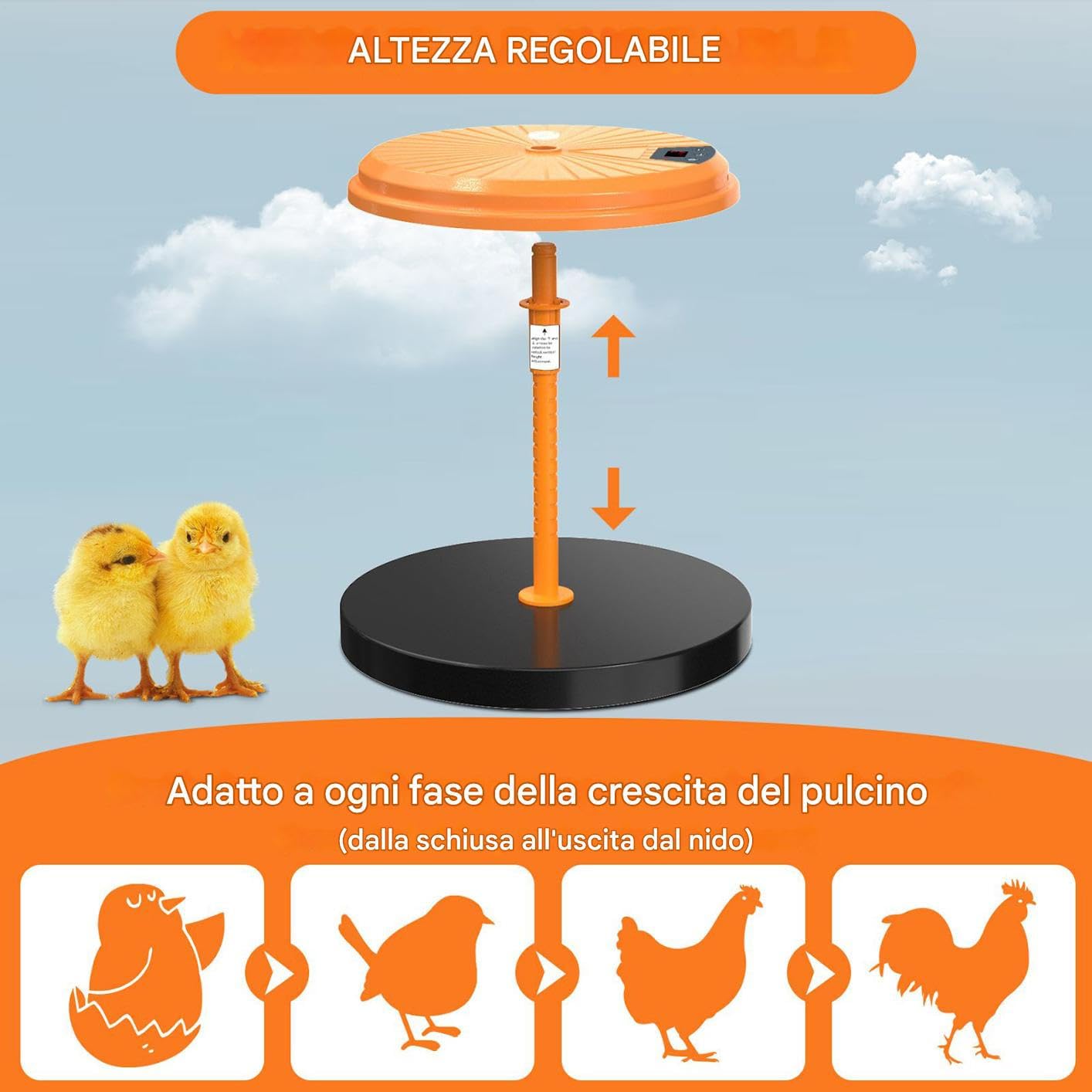 Piastra Riscaldante Piastra Termica Brooder Per Pulcini Da 35W