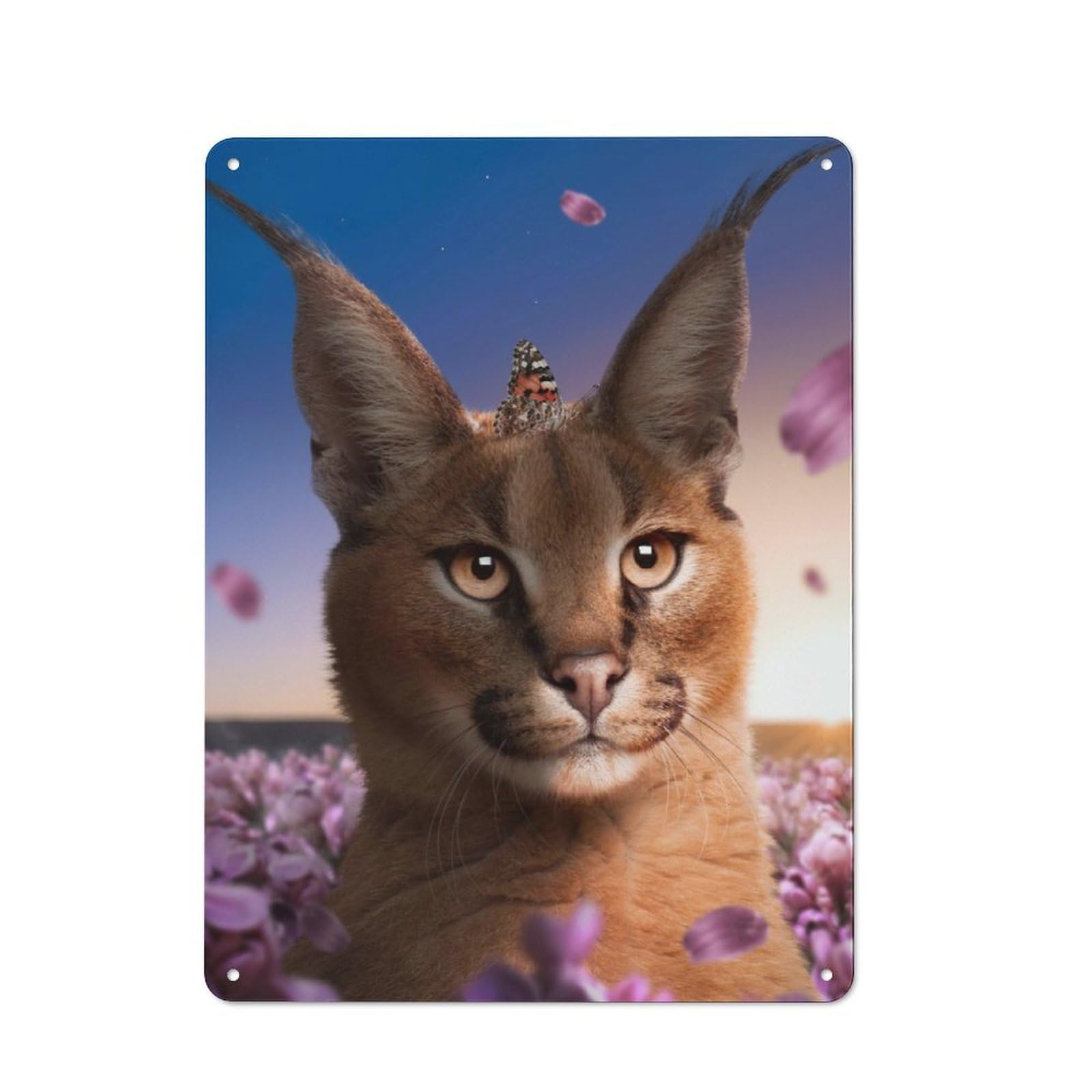 Junmoney The Caracal Vintage Tin Sign 40X30cm For Café Or Home Bar, With Clear Vintage Wall Decor Character