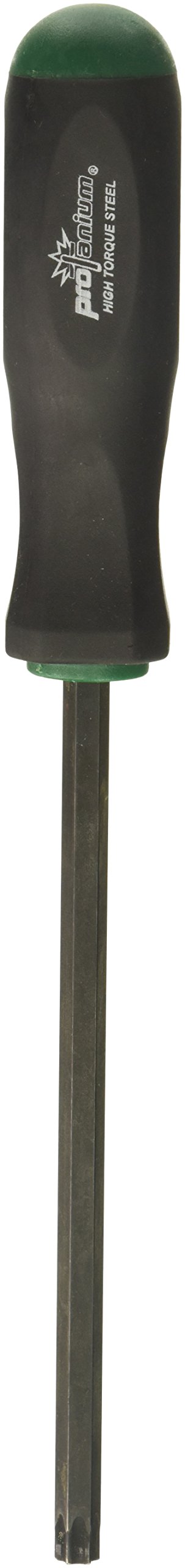 Tournevis étoile T50 Bondhus 75550 Prohold anti-corrosion Proguard de 17,3 cm