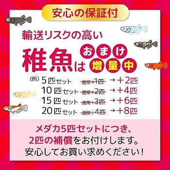 medaka ⚠️プロフ必読 8/3 Medaka Box Vol. 8 (In Japanese) - Akira Akatsuki