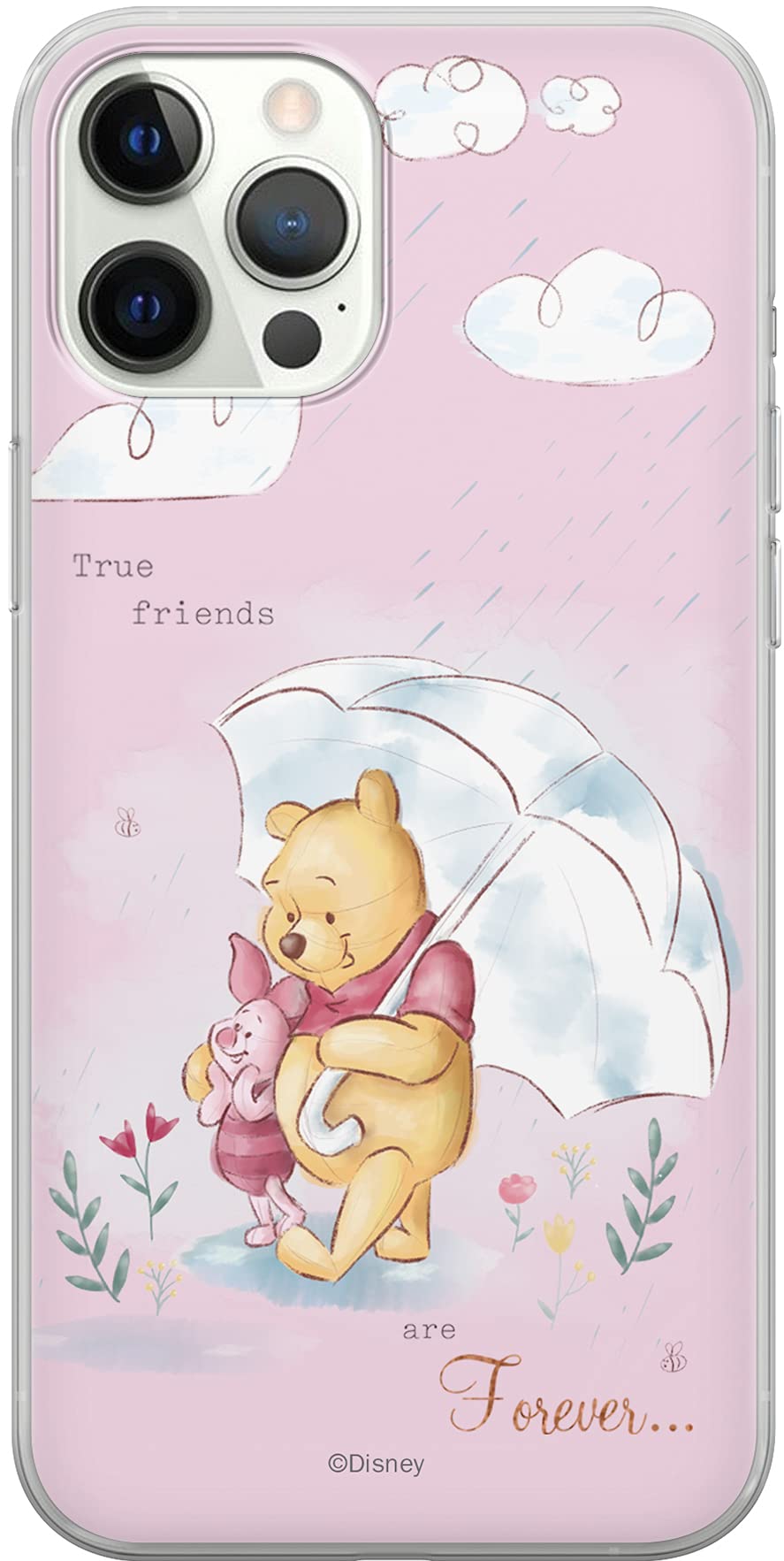 ERT GROUP mobile phone case for Apple Iphone 12/12 PRO original and officially Licensed Disney pattern Winnie the Pooh and friends 009 adapted to the shape of the mobile phone, case made of TPU