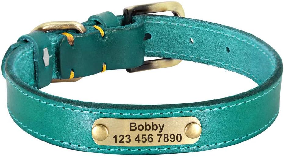 Pet Collar Personalized Leather Dog Collar Leather Gold Buckle Pet ID Collar for Small Medium Large Dogs-Red_XS