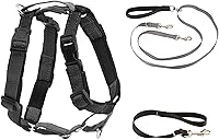 PetSafe 3-in-1 No-Pull Dog Harness with Two-Point Control Leash - Adjustable Breathable Fit for Large Dogs, Black