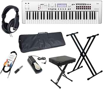 61ZpmzPYvqL._AC_UF350,