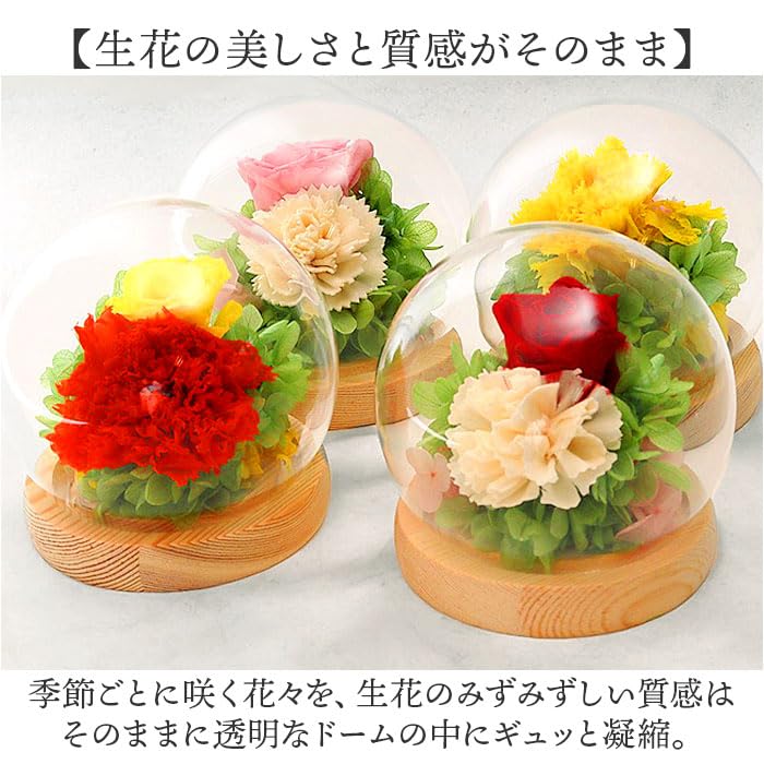 スフィアガラスドーム プリザーブドフラワー ガラスドームアレンジメント セット 早割 お歳暮 2025 SOUP お供えガラスドームアレンジメント 枯れ