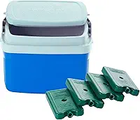 Caixa Térmica 5 litros Cooler com 4 Gelos Reutilizáveis 200 ML