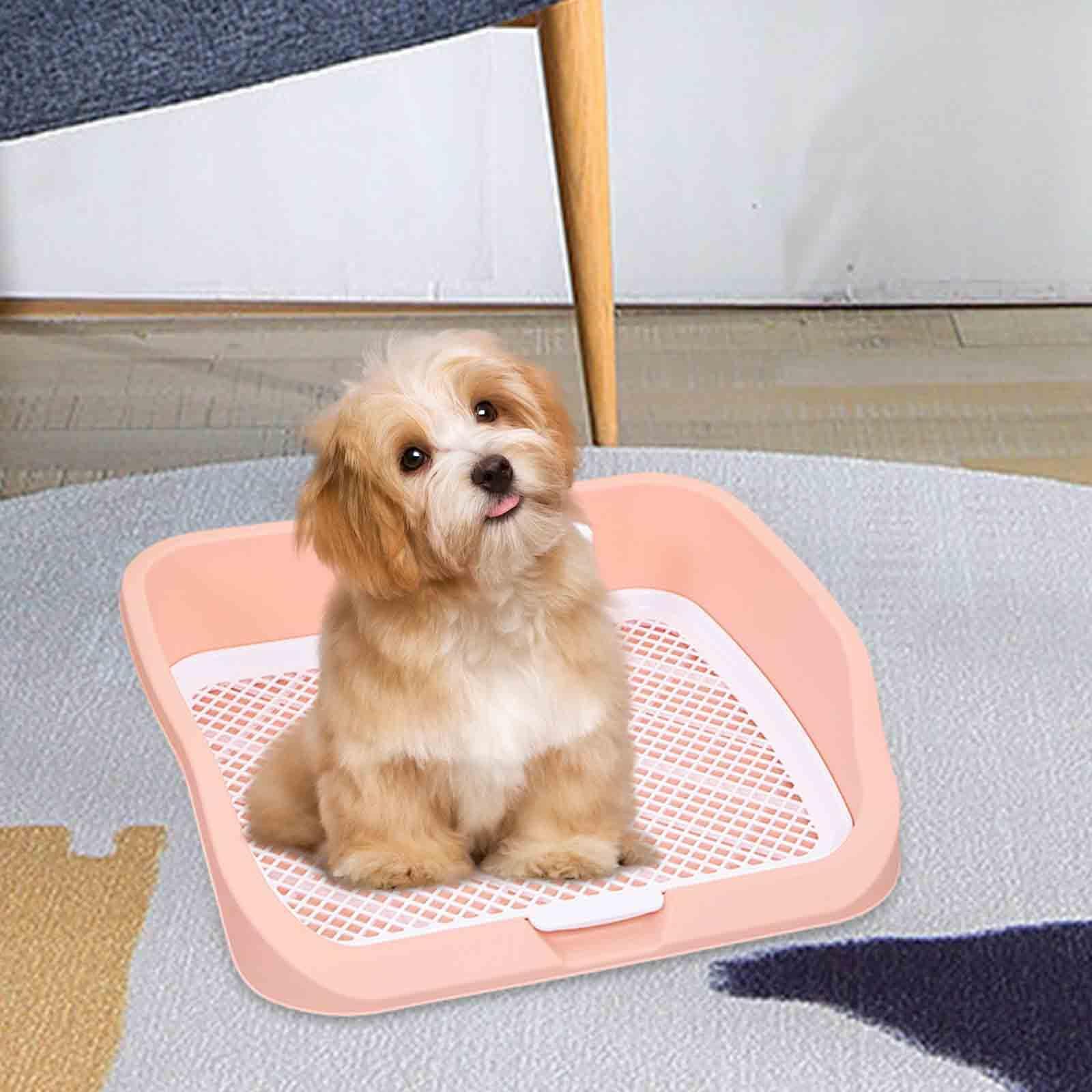 Almohadillas de Entrenamiento para Perros, Inodoro para Cachorros, opción eficiente y Limpia para Interiores con Bandeja de Arena para Perros con