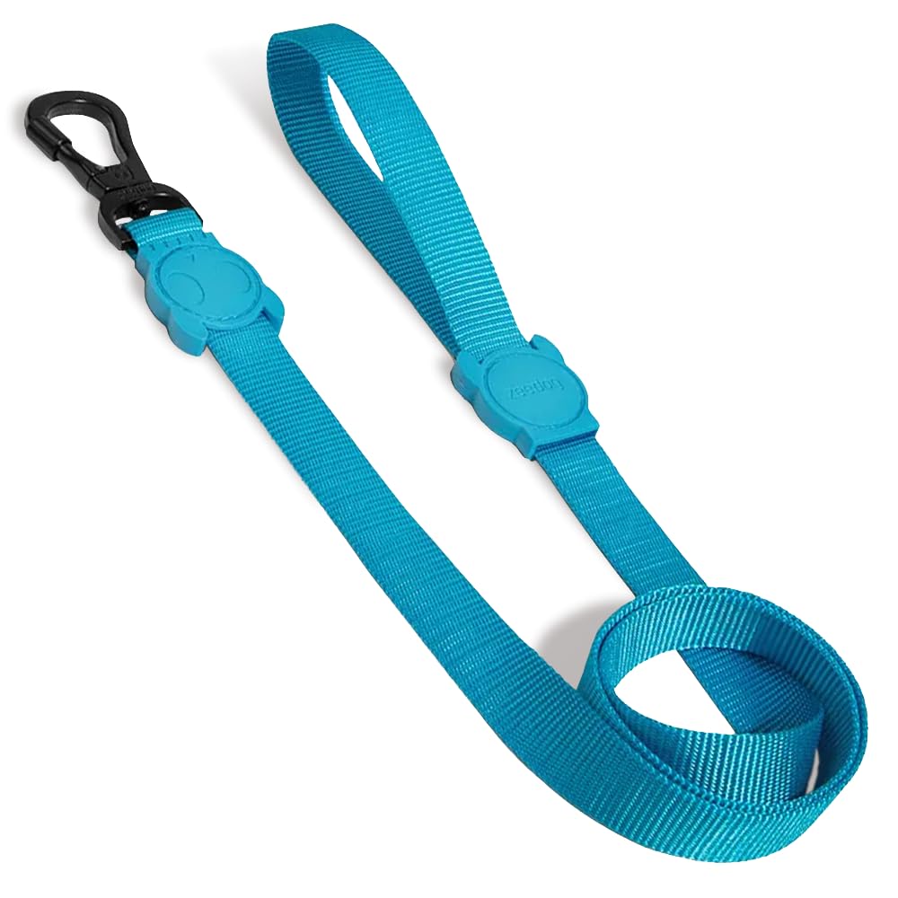 Ultimate Blue Leash Large
