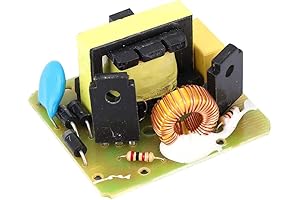 Fafeicy 40W DC to AC Inverter Module