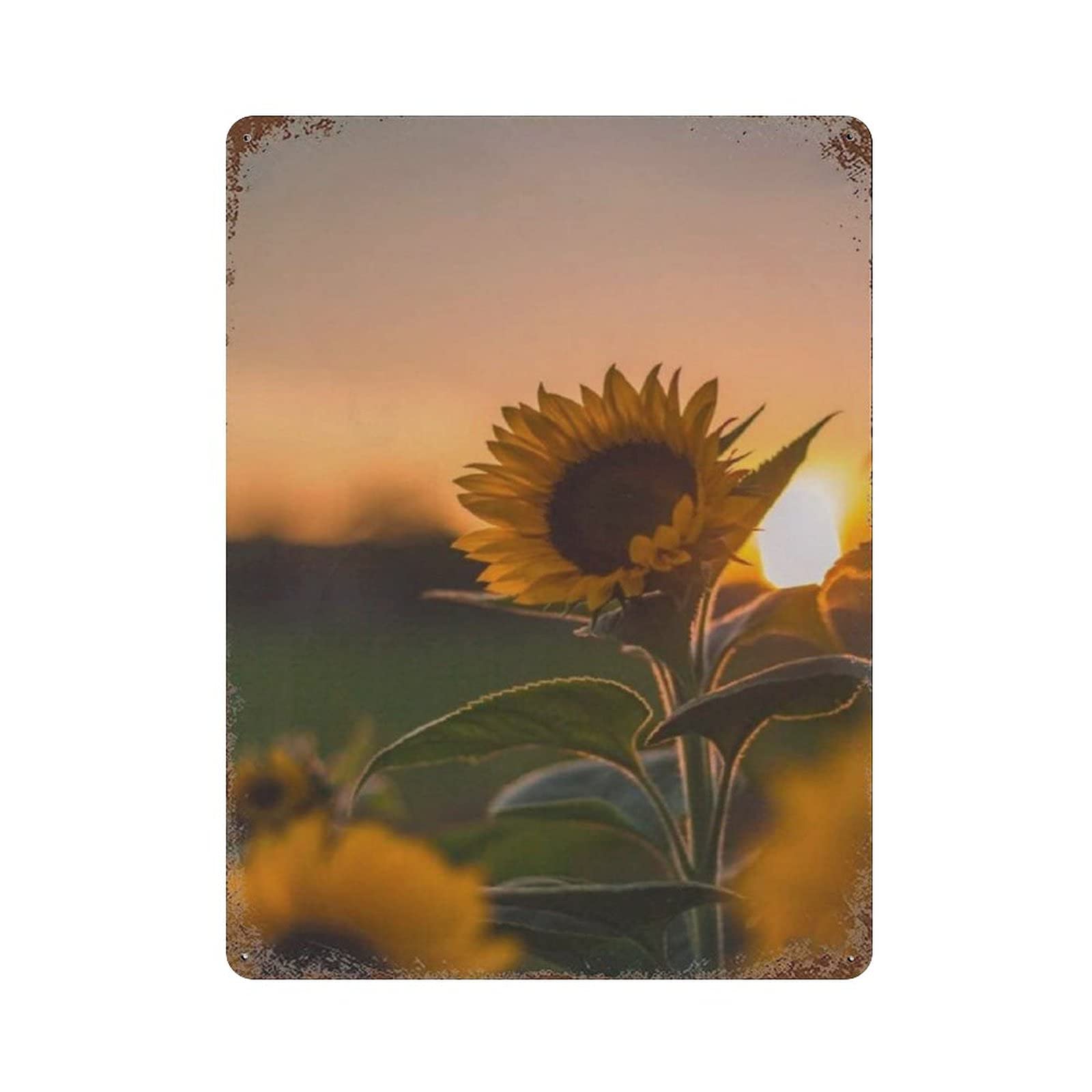 Metal Tin Sign Sunflower at Sunset Vintage Tin Poster Metal Sign Wall Decoration Country Kitchen Home Garage Decor 16"x12"