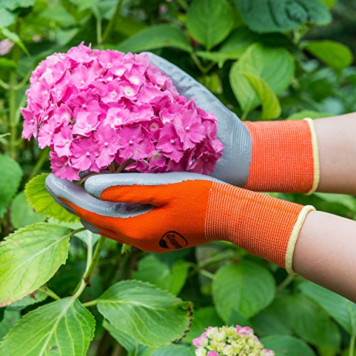 Garden12 PD-12753 Gardening Gloves For Women (2, Small) Super Grippy Garden Gloves From Breathable Nylon With Puncture-Resistant Nitrile thumb #1