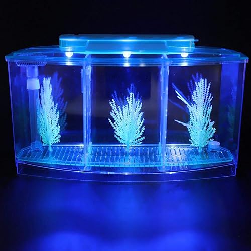 Miniatura 6 de Pescado, peces de reproducción transparente de escritorio, mini acrílico para peces pequeños con luz LED con válvula de cambio de agua para Betta