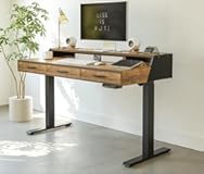 Electric Standing Desk&comma; 48 x 24 Inches Height Adjustable Table&comma; Ergonomic Home Office Furniture with Top Storage&comma; Black Frame&sol;Rustic Brown Top