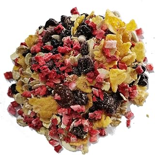 ERDBEER BIO MÜSLI I 5% gefriergetrocknete Frucht I ohne Zuckerzusatz (enthält von Natur aus Zucker) I Vegan I Haferflocken I Weinbeeren I 1000g