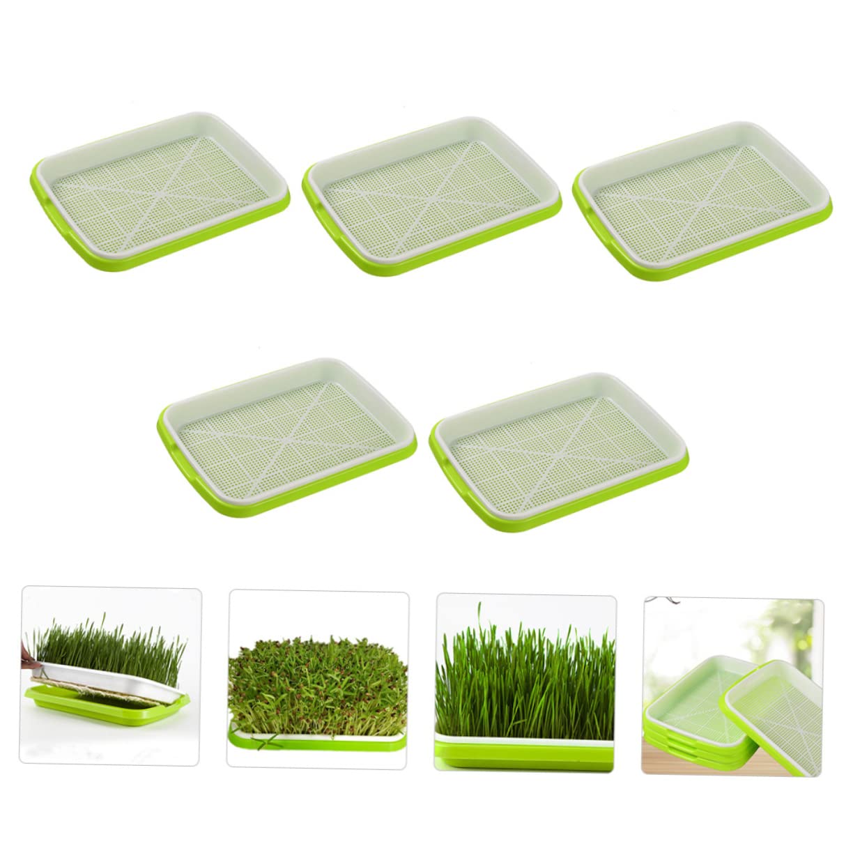 BESPORTBLE 5 Pièces Plateau de Germination Hydroponique Plateaux de Culture Sol Plateau de Germination Pratique