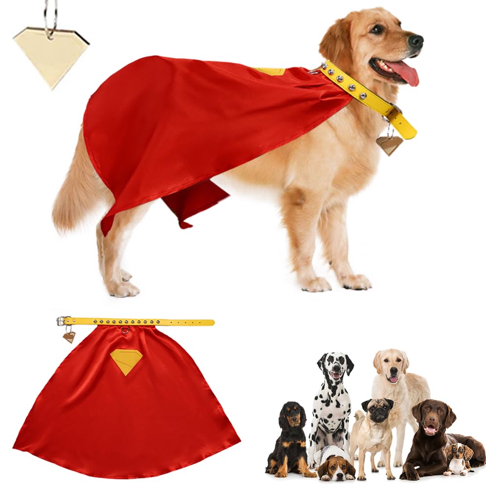 Superhero Dog Costume Cape Cosplay Set with Red Cape & Leather Collar, Pet Cosplay Set for Halloween & Parties, DC Superman Movie Krypto Pet Dog Costume (M)