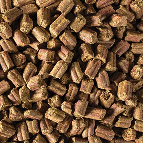 Kaytee-FieldForest-Rabbit-Food-4-Pounds Kaytee Field+Forest Rabbit Food 4 Pounds - Image 4