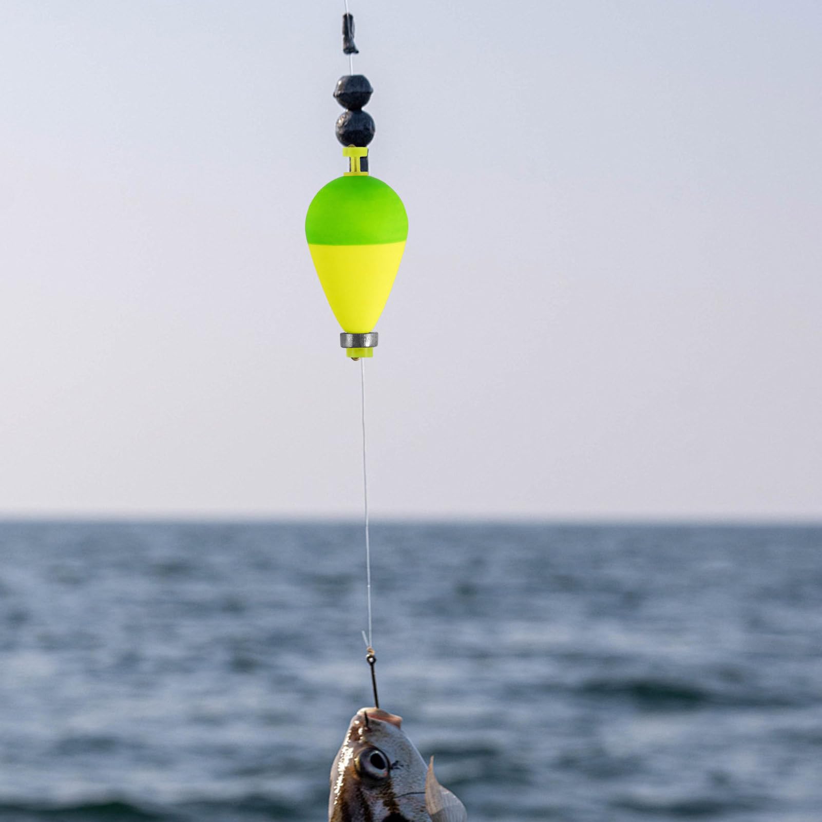 Flotteur de Pêche,10 Flotteurs Coulissants Ovales pour la Pêche en Eau Douce - Bouchon Lesté Aquatique - Accessoires Sport Extérieur pour Silure