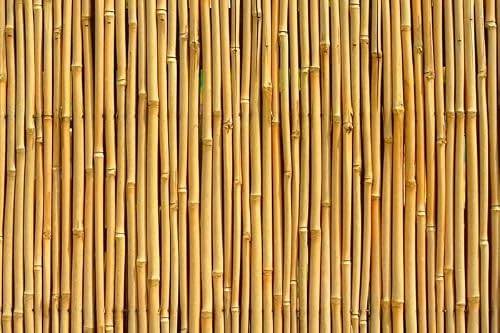 GoKoo Bamboo Canes for Gardens/Plant Support (4 FT, 40)