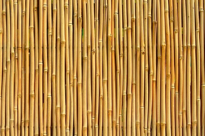 See full amazon price history chart for GoKoo Bamboo Canes for Gardens/Plant Support (2 FT, 20) GoKoo Bamboo Canes for Gardens/Plant Support (2 FT, 20) (B0BZ8QQB1M) Amazon Price History, Amazon Price Tracker