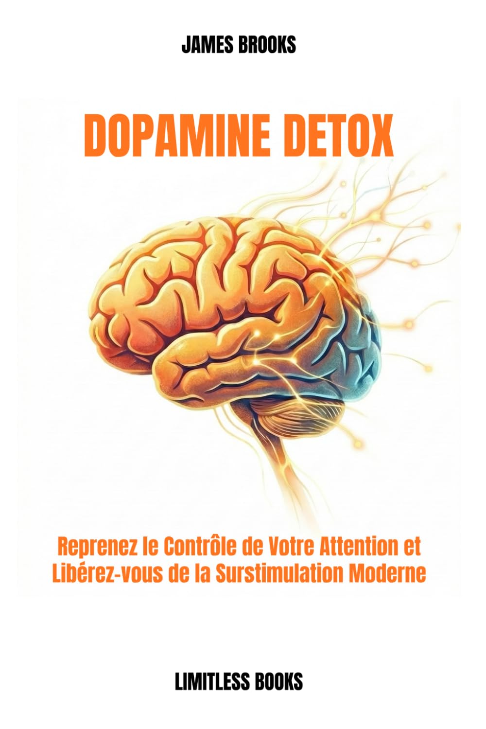DOPAMINE DETOX: Reprenez le Contrôle de Votre Attention et Libérez-vous de la Surstimulation Moderne
