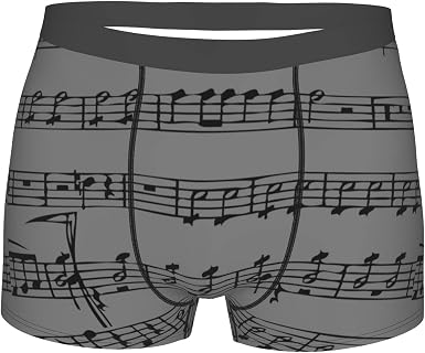Amazon.com: Piano Music Notes - Calzoncillos tipo bóxer ultra suaves para  hombre : Ropa, Zapatos y Joyería