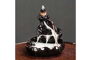 sdhkgrrt Household Intelligent Suction Fish Backflow Incense Burner