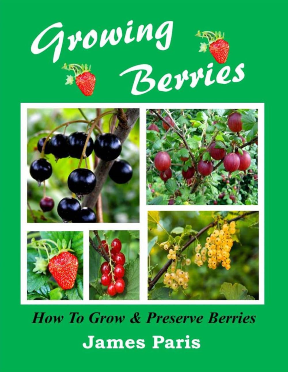 Growing Berries - How To Grow And Preserve Berries: Strawberries, Raspberries, Blackberries, Blueberries, Gooseberries, Redcurrants, Blackcurrants & Whitecurrants (Large Print)