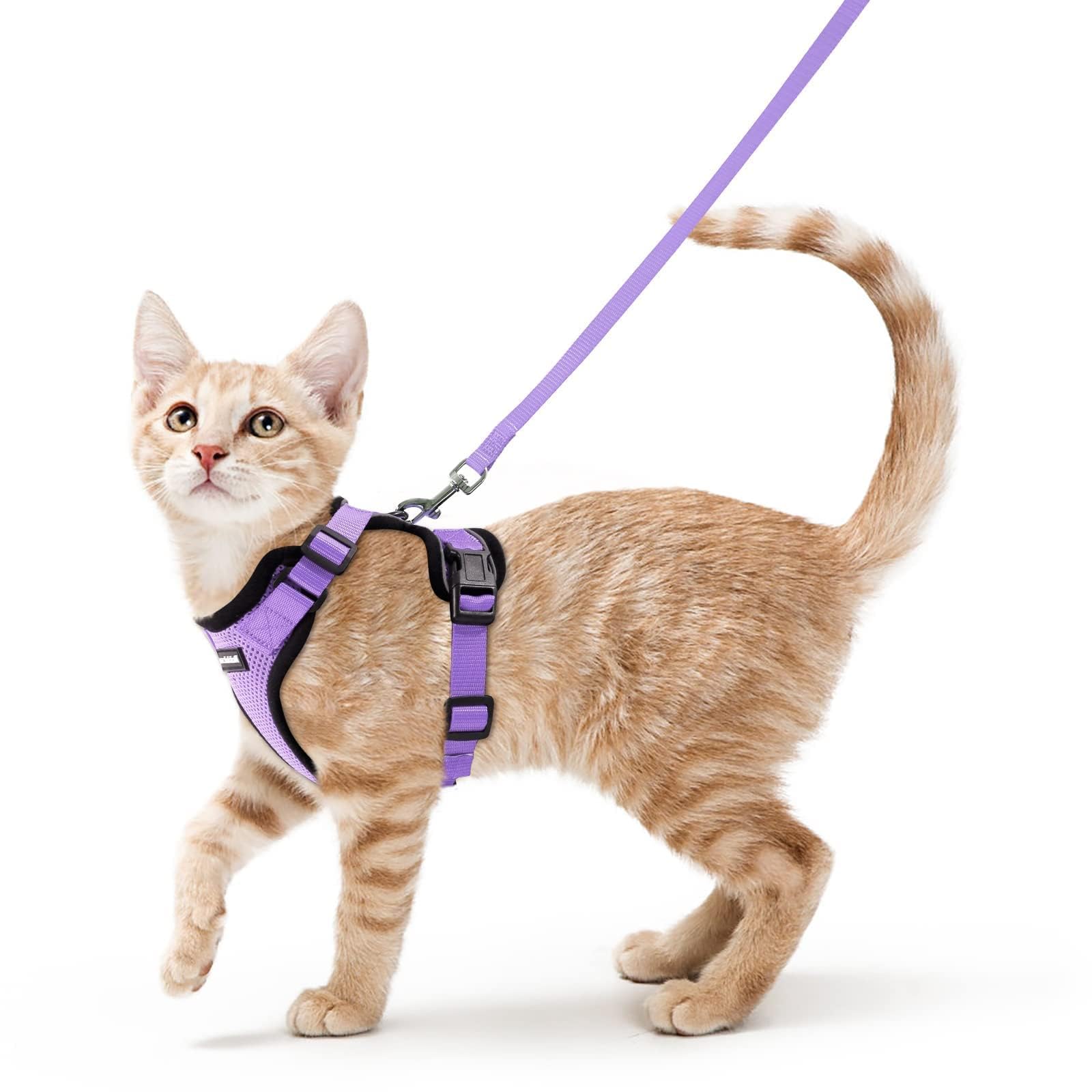 rabbitgoo Pettorina Gatto Antifuga con Guinzaglio, Guinzaglio per Gatti Regolabile, Pettorina Cane Taglia Piccola Riflettente, Imbracatura Gatto Adulto in Maglia Traspirante, Viola Chiaro, S
