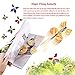 Gmai Magic Flying Butterfly - Classic Wind Up Swallowtail Butterfly - Close Up Magic Set Of, Surprise Greeting Card or Romatic Wedding (20pcs)