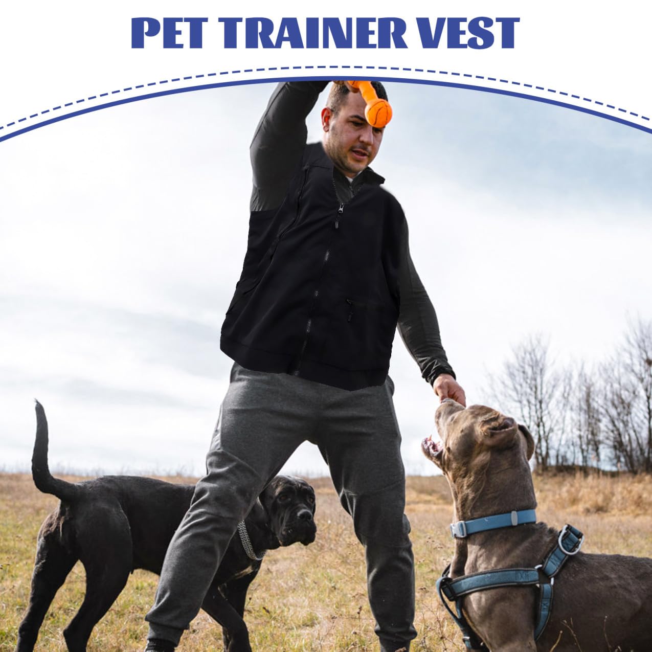 Gilet de Dresseur pour Chien Imperméable Noir en Polyester Mesh