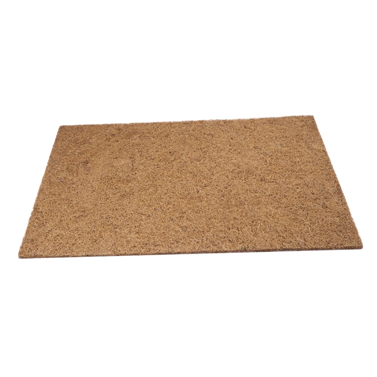 POPETPOP Alfombra en Contenedores Transparentes para Terrario de Reptiles de Fibra Natural Estera para Tortugas y Reptiles y Fácil Limpieza Recogida de Desechos