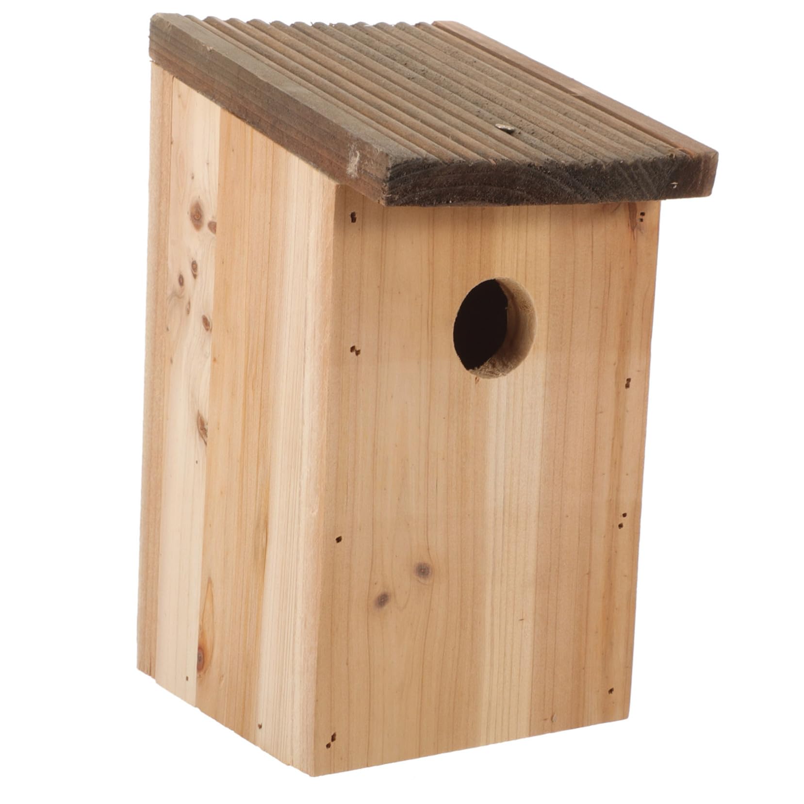 Nichoir pour cage Toddmomy en forme créative pour petits oiseaux