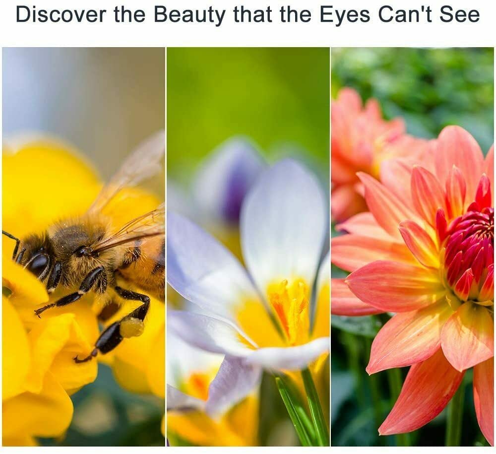 Yangers Makro Objektiv Filter Set - Perfekt Für Nahaufnahmen Mit +1,+2,+4,+10 Stärken