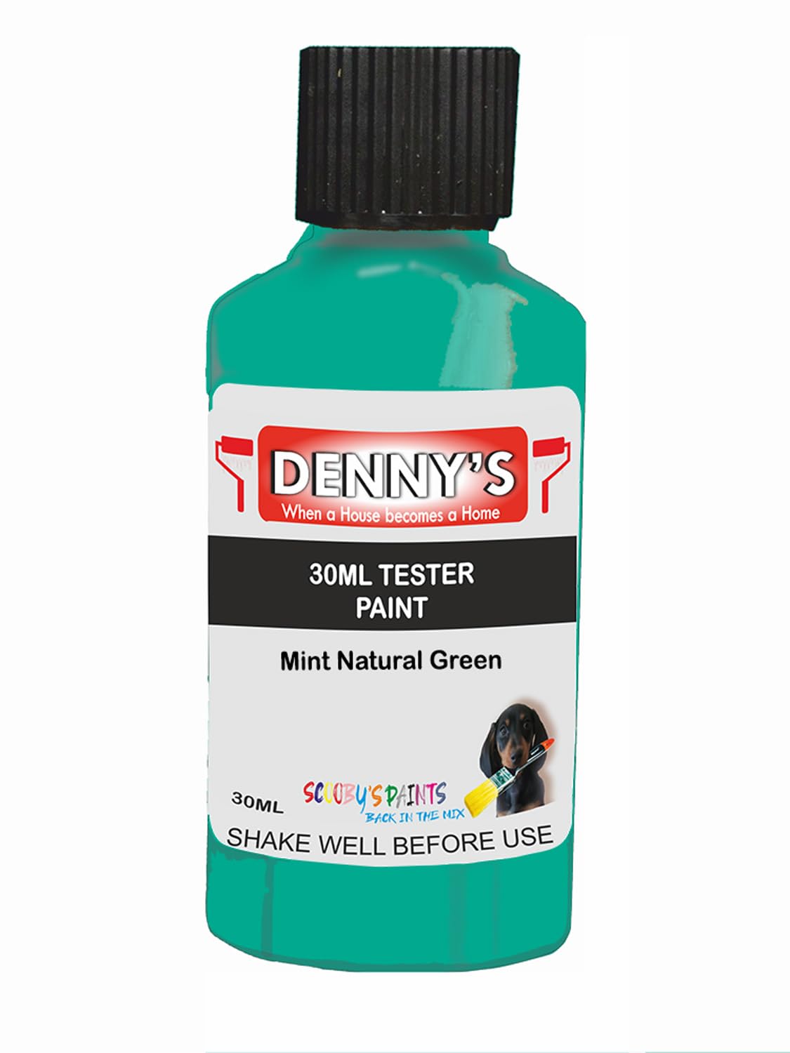 SCOOBYS PAINTS BACK IN THE MIX Chalk Emulsion Matt Paint, Water-Based, No Primer Required, For Walls and Furniture Light Green, (Mint Natural Green, 30ml Colour Tester)