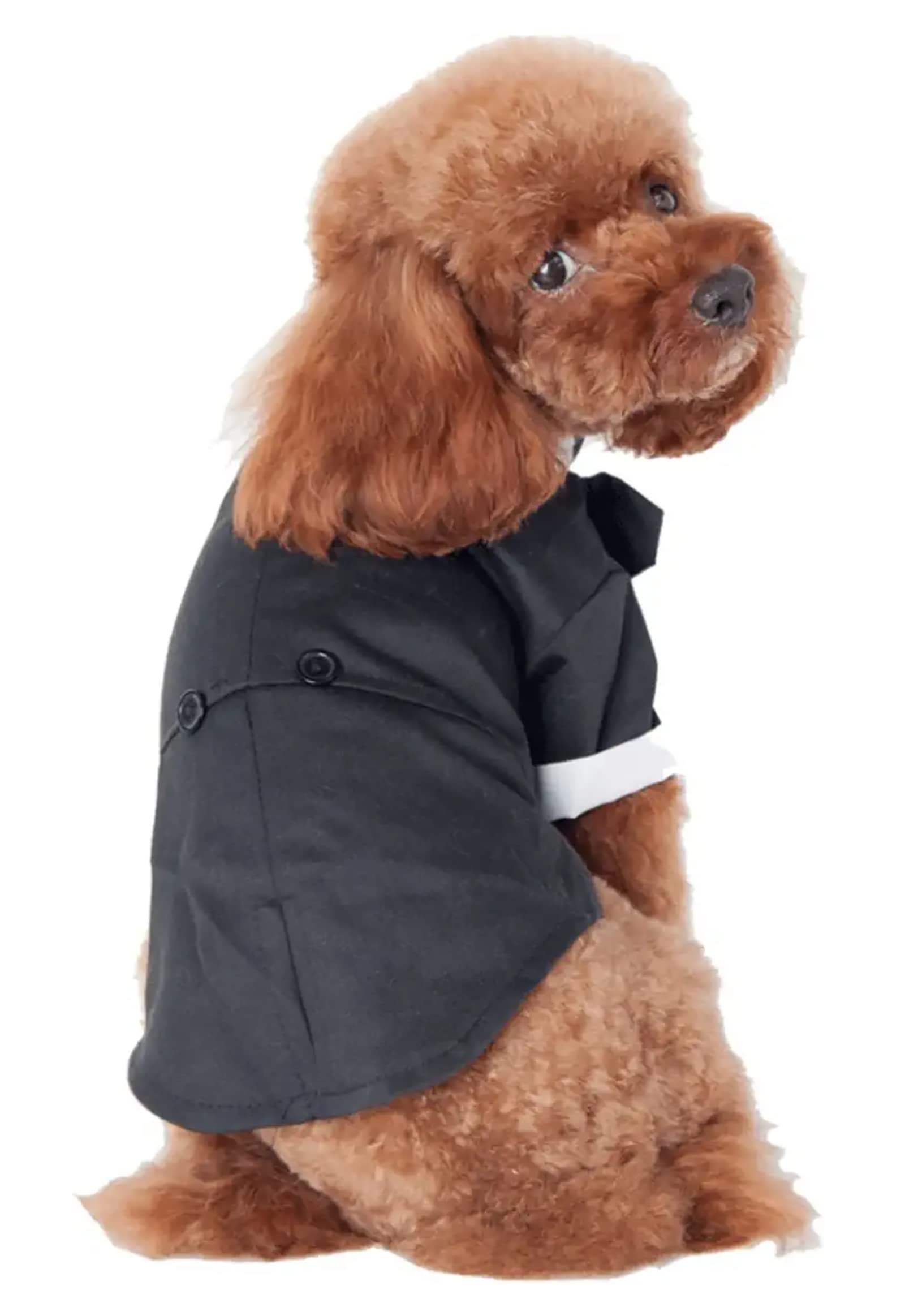 GabeFish Pets Wedding Jackets Suit for Dogs with Bow Tie Puppy Cat Formal Clothes Shirt Tuxedo Black Large